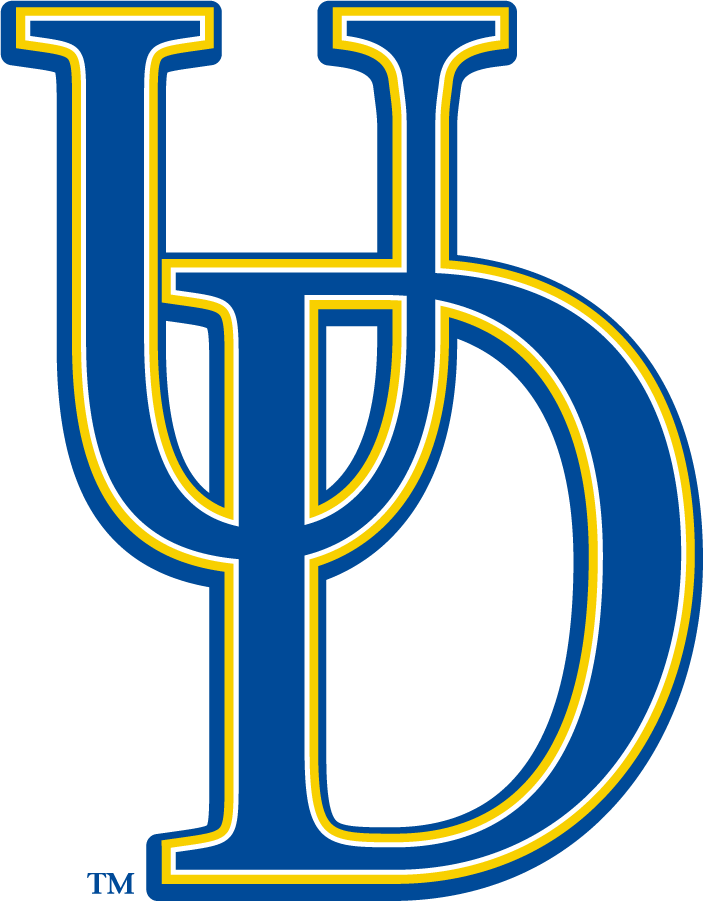 Delaware Blue Hens 2009-2018 Secondary Logo v3 DIY iron on transfer (heat transfer)
